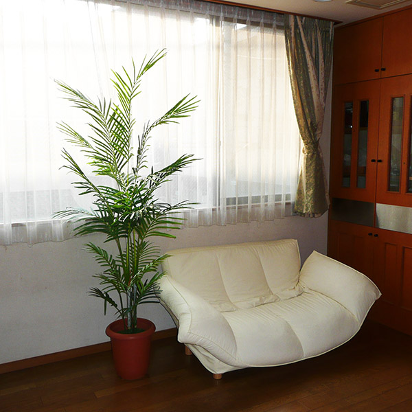 FG-5009