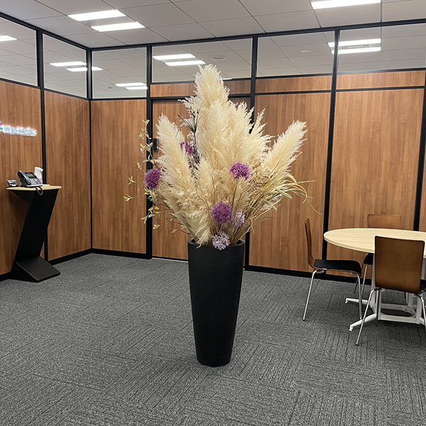 SET-182